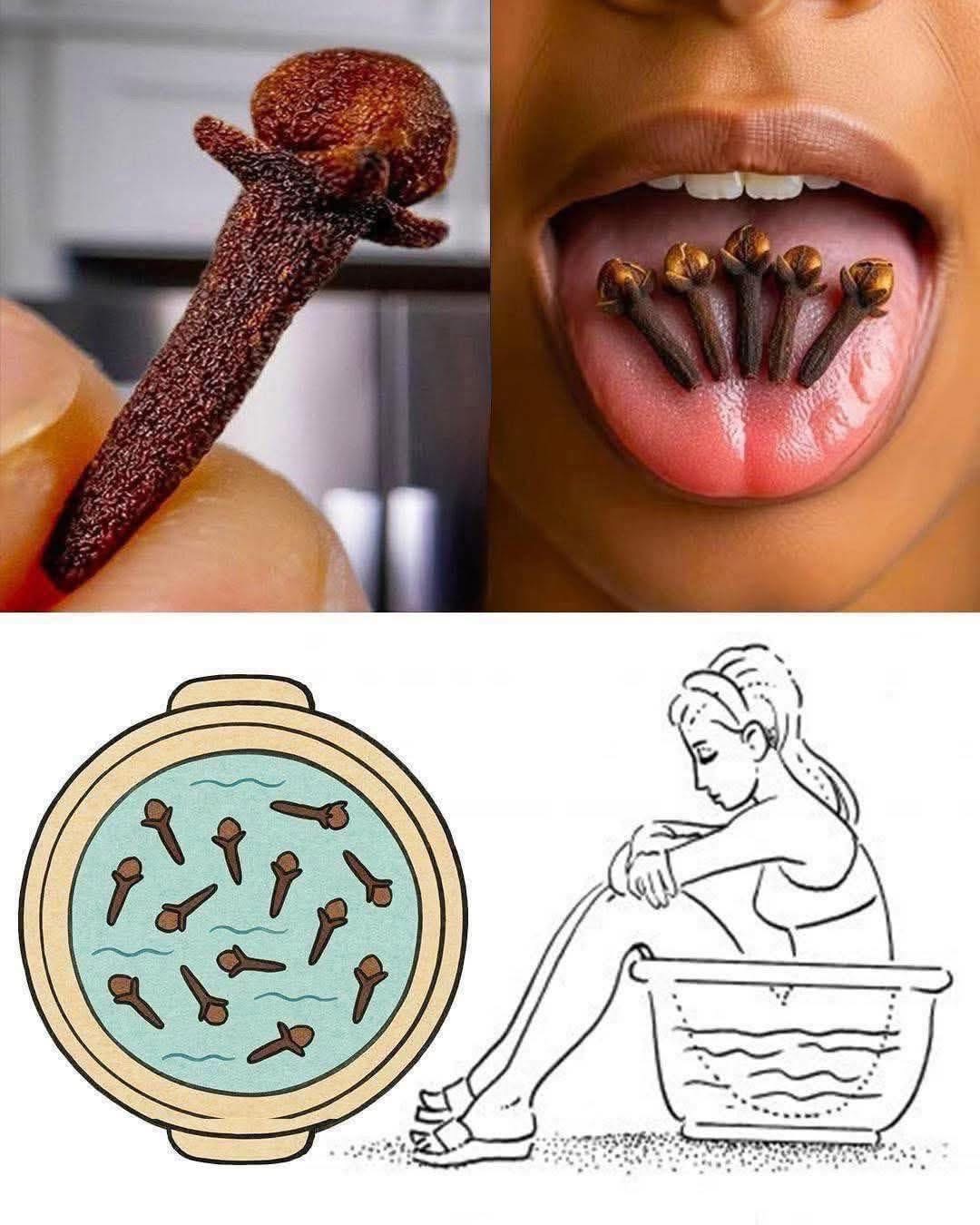Cloves Benefits and Uses - My Healthy Life
